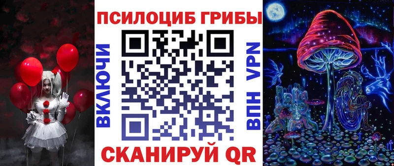 OMG tor  Нязепетровск  Галлюциногенные грибы Psilocybe 